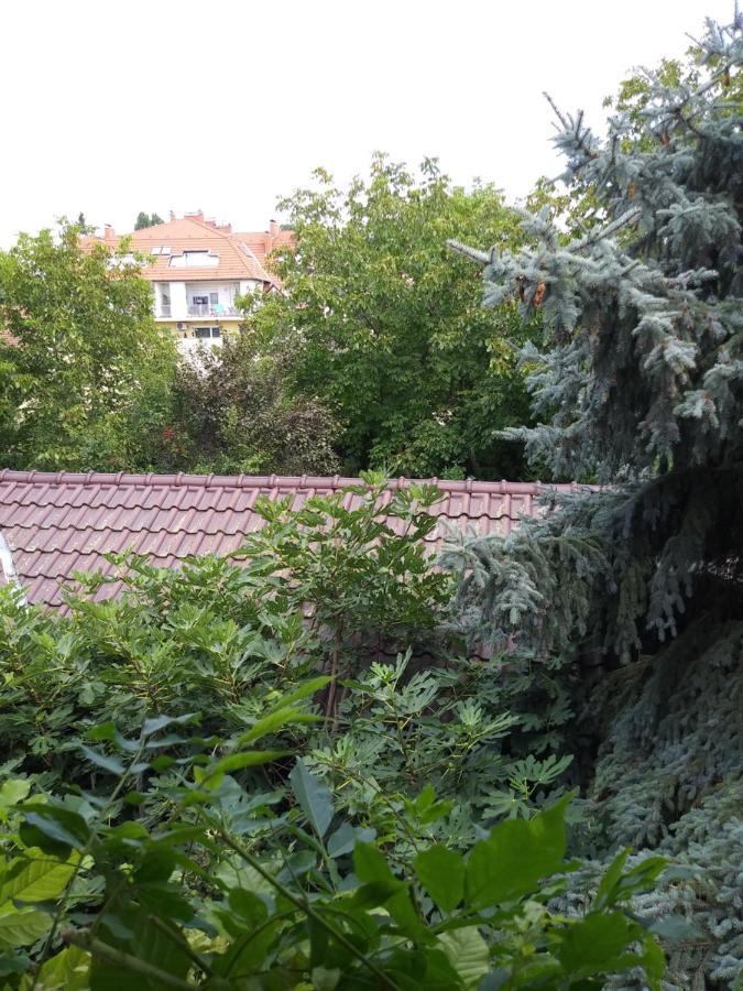 Balogh Vendeghaz Hotell Szeged Eksteriør bilde